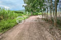 Bán vườn keo diên tân diên khánh gần hương lộ 62