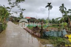 Đất nền đầu tư giá rẻ chỉ 2xx,100m2.trung tâm tp triệu phong. liên hệ 0846661456