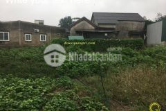 Giới thiệu đến quý khách lô đất sát bên khách sạn hữu nghị, phường 1, đông hà, quảng trị.