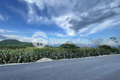 Đầu tư đất mộc châu không thể bỏ lỡ, bán gấp lô đất ven ql43 giá siêu rẻ