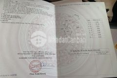 Tài chính chỉ 500 triệu sở hữu ngay lô đất đẹp tại hướng đạo tam dương