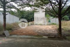 Cần tiền đầu tư nên bán gấp 3 lô đất ở tân định thơi hoa,sổ hồng riêng, sát chợ ql13