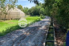 Đất vườn củ chi 1000m2 giá ngộp trước tết, view mương cực đẹp, sổ hồng riêng.