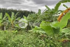 Bán lô đất đẹp vuông vắn thôn an định, xã diên phước, diên khánh