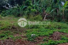 D974 bán đất cấp 1 ngay ngã 3 ea tiêu huyện cư kuin