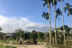 2 lô liền kề đường bê tông 4m5 sẵn sổ đất giáp đà nẵng