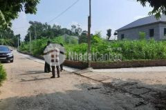 Cần bán gấp lô đất tại hướng đạo tam dương với giá rẻ trong dịp giáp tết.