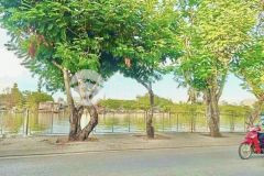 Bán đất view sông mặt tiền đường trần xuân soạn q.7