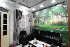 Bùi xương trạch thanh xuân 30m lô góc 3 thoáng vĩnh viễn nhỉnh 3tỷ ô tô gần.