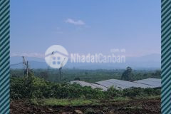 Bán đất xào giá tốt ở bảo lâm, lâm đồng.