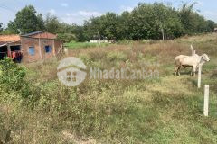 Sinh lời ngay chỉ với 390tr có được lô đất 722 có thổ cư ở phước an gần kcn