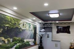 Bán nhà đường số 4, bhh a, bình tân, 52m2, 4 tầng, hxt, nhỉnh 5 tỷ