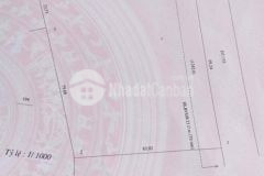 Cần bán 9.015m2 đất cln mặt đường đt753, giá 170tr1m ngang, xã tân lợi, đồng phú, bình phước.