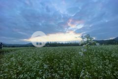 Đón sóng cao tốc hoà bình mộc châu sơn la. giá cho các nhà đầu tư