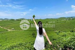 Chính chủ cân bán gấp lô đất chiềng sơn mộc châu giá rẻ