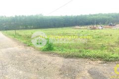 Mua bán nhà đất quảng trịbán đất bảo đại0325568068