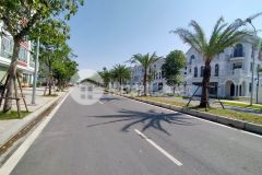 Đất đấu giá việt hưng, đối diện vinhomes harmony, đỉnh của chóp.