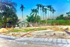 Đầu tư siêu lợi nhuận đại hiệp central chỉ 412 triệu