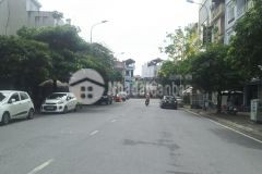 Chính chủ cần bán lô đất đẹp 236m2 đất đấu giá tại khu đô thị 31ha trâu quỳ, gia lâm.