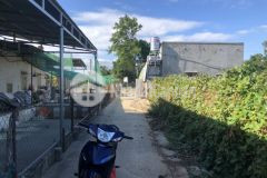 Bán đất thôn 4 xã eakao giá chỉ 1ty250