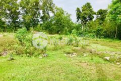 Cần bán lô đất hơn 1000m2 ở củ chi sát hóc môn giá 1 tỷ 850