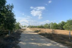 Bán 16,5 x 60m 1017m khu rừng vàng 3,9 tỷ, tân bình, thị xã lagi