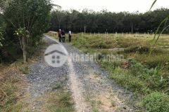 Cần bán lô đất tại kp lộc khê, gia lộc, tây ninh giá 650tr