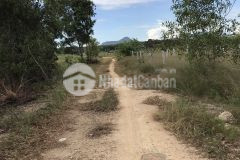 Bán 14 x 75m 1040m khu rừng vàng 2,2 tỷ, tân bình, thị xã lagi