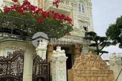 Siêu biệt thự mặt phố xuân diệu thang máy bể bơi 232m2