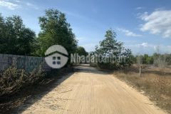 Bán 21 x 48m 1005m khu rừng vàng 4,2 tỷ, tân bình, thị xã lagi