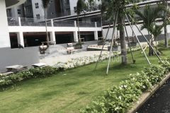 Chính chủ cho thuê or bán căn hộ giá cực tốt conic riverside q8 67m2 2pn