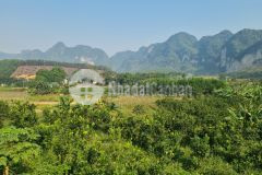 Bán gấp 10.500m đất view đồi núi, cánh đồng giá 400km2