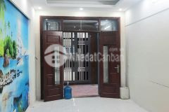 Seri 7 căn nguyễn đình hoàn phân lô cực đẹp. nhà mới king kong giá chỉ 4.2 tỷ