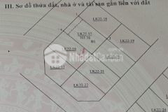 Bán biệt thự bồ đề long biên phân lô, vỉa hè, ô tô tránh, thang máy 5tx101.56m2, hiếm