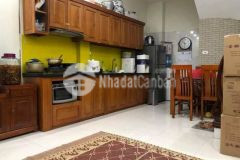 Gia quất ô tô tránh thông kinh doanh nhà đẹp đón xu n sang giá ngon