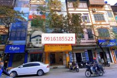 Bán nhà mặt phố thụy khuê 98m25t, thang máy chờ kd sầm uất, vỉa hè 3m, mt 5m, giá rẻ.