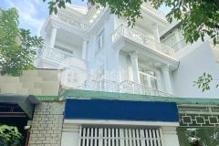 Biệt thự cao cấp view sông kdc tân quy đông q7