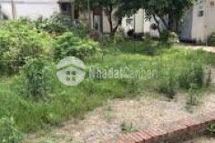 Cần bán 470m đất mt18m 3.7tỷ trung giã sóc sơn gía cực rẻ đầu tư chia lô