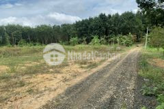 Còn sào duy nhất với dt 1707 với giá chỉ 440nghinm2