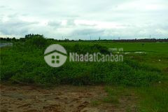 Chuyển nhượng đất tại bạch sam t.x mỹ hào hưng yên