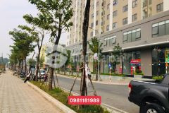 Mua kiot iec, shophouse khối đế chung cư iec giá ưu đãi từ cđt. liên hệ 0981181989