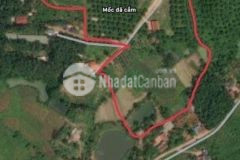Bán 7965 m2 đất tại ngọc thanh phúc yên