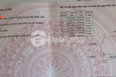 Bán 1.4ha đất mặt tiền 6m nằm trong khu trang trại dưa lưới