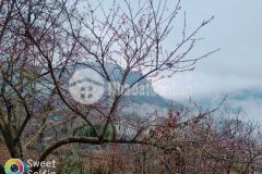 Lô đất 2 mặt tiền thuộc trung tâm y tý, lô góc cực hiếm. đón đầu sóng khu du lịch cộng đồng