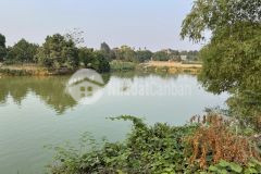 Bán nhanh trong tuần 1182m có 250m thổ cư bám hồ tại chương mỹ giá chưa tới 4trm2