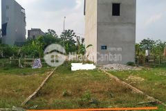 Bán đất dịch vụ đồng mai khu 1 không lỗi gì, 50m2, mt4m, vị trí đẹp hiếm