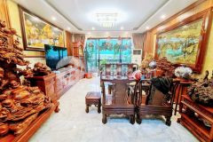 Mặt phố xã đàn sầm uất gần tôn đức thắng, mt rộng, 50m2x5t chỉ 26.8 tỷ. lh 0989.62.6116