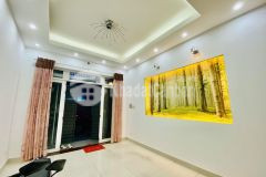 Bành văn trân 2 ô tô vào nhà cách mặt tiền 5 căn 4 tầng btct thông số vàng vuông a4 cực hiếm