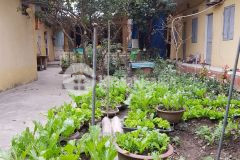 Cần bán 290m c4 16tỷ mặt phố hoàng tăng bí bắc từ liêm kinh doanh đầu tư