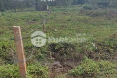 Bán đất gần hồ tara xã hòa đông huyện krông pắc giá 400 triệu